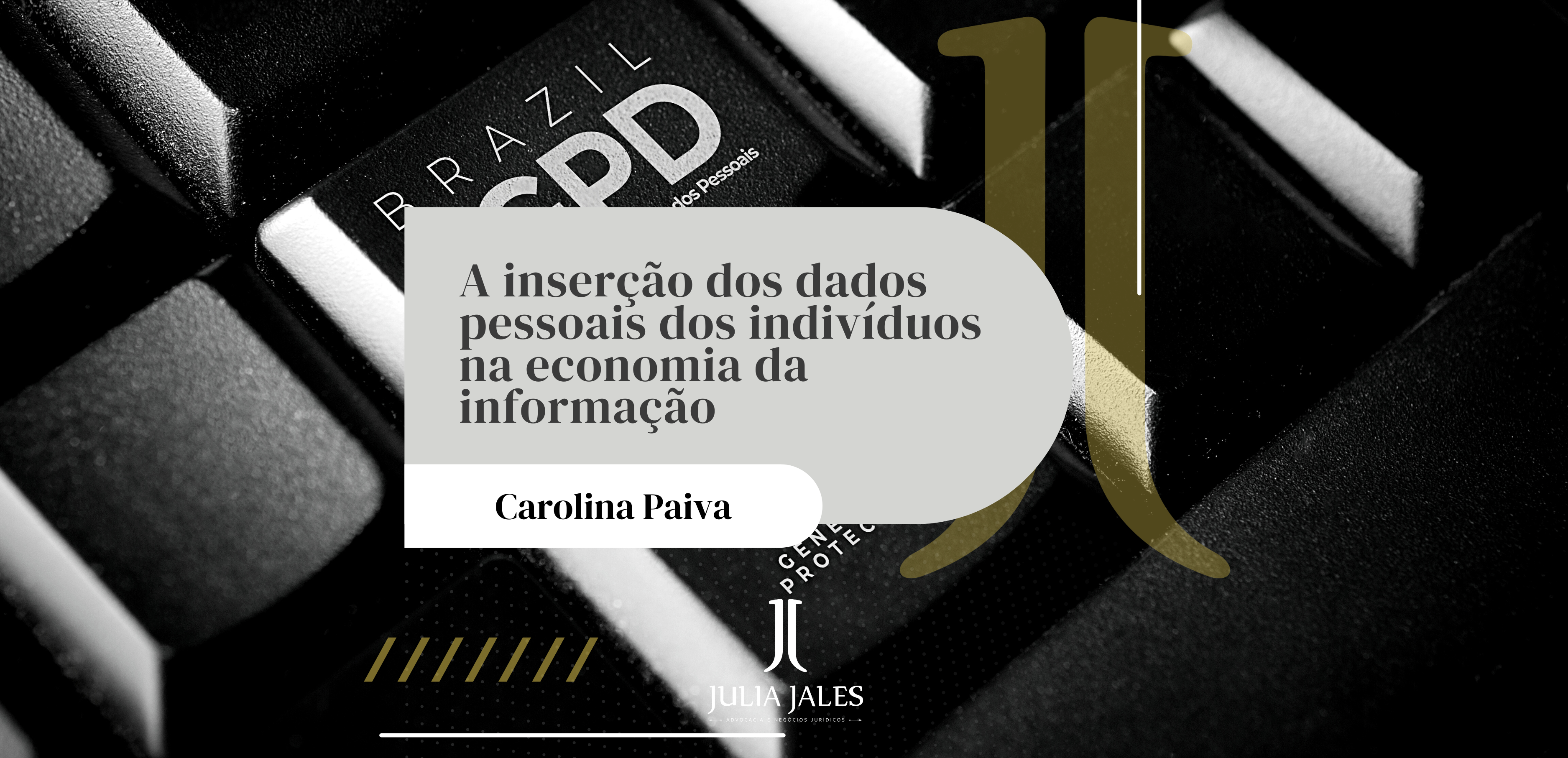 A inserção dos dados pessoais dos indivíduos na economia da informação